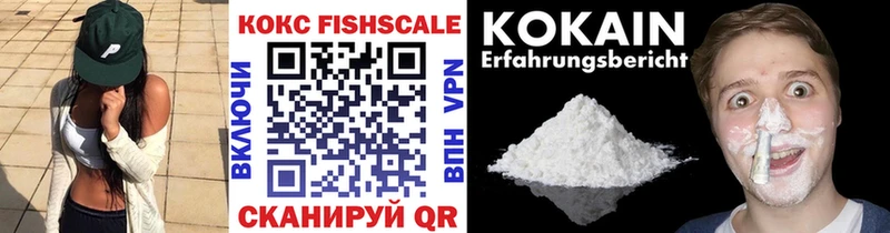 КОКАИН Fish Scale  Купить  Бикин 