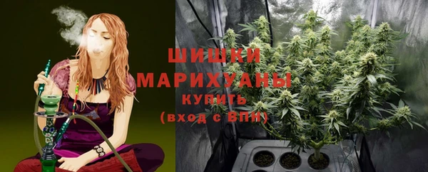 дмт Богородицк