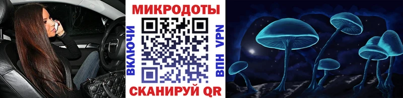 Купить  Бикин  Псилоцибиновые грибы прущие грибы 